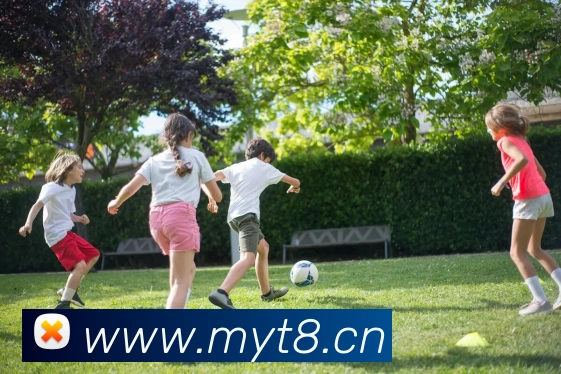 开云综合app官网登录APP 封面图